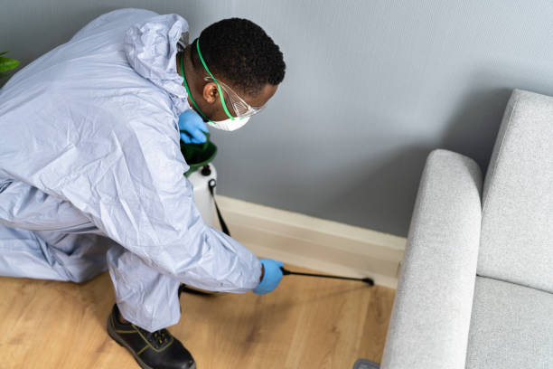 Best Termite Inspection and Treatment  in East Pittsburgh, PA